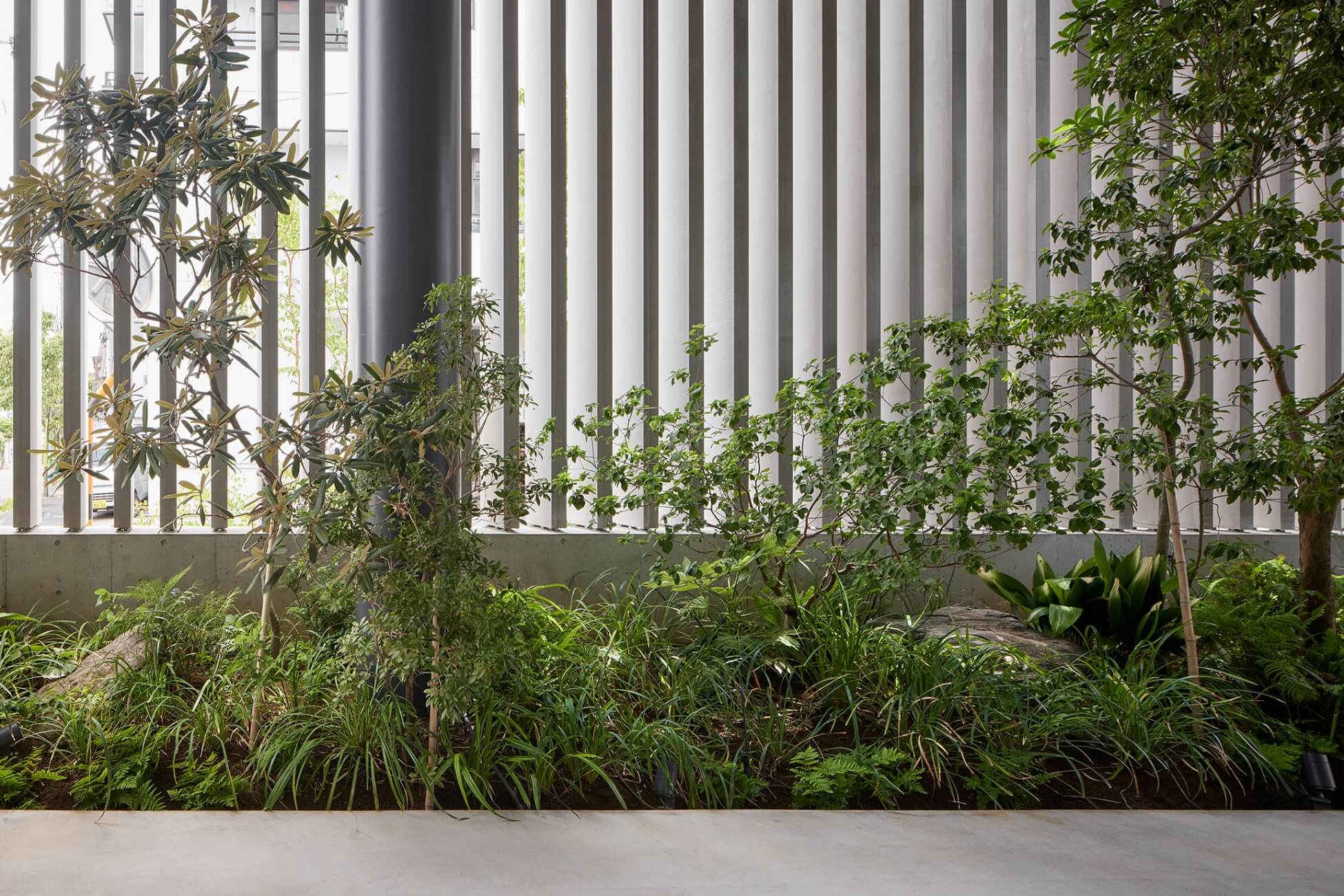 足立区にある集合住宅|中庭の写真
