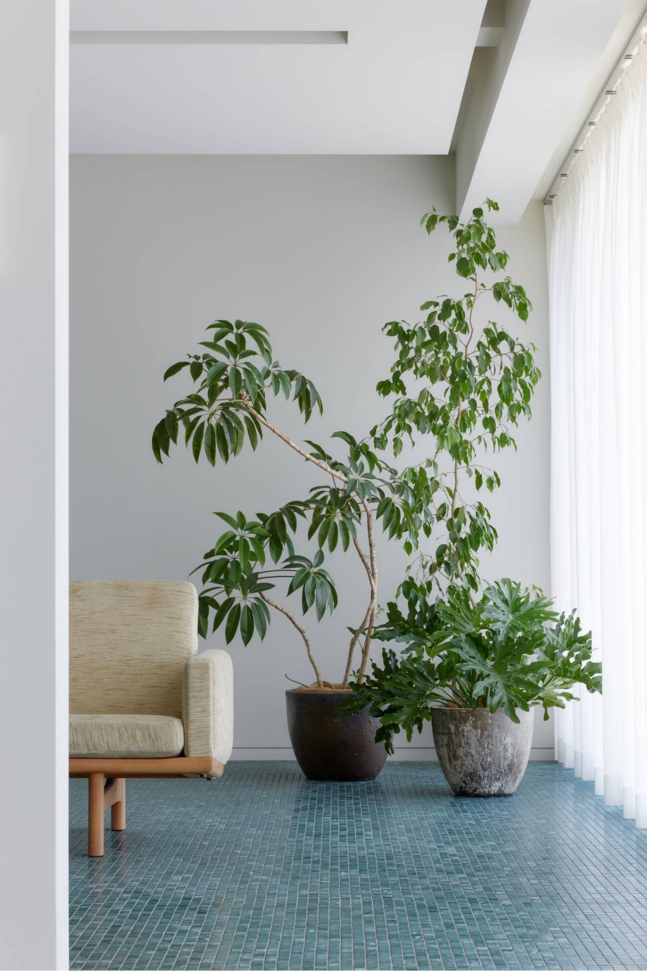 足立区にある個人邸|リビングの写真2